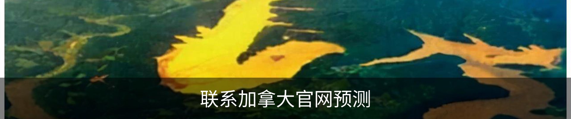 内页banner